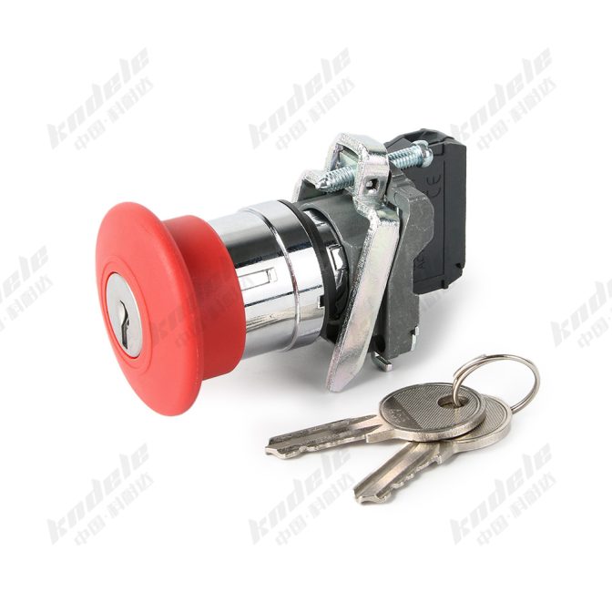 Push button switch electrical