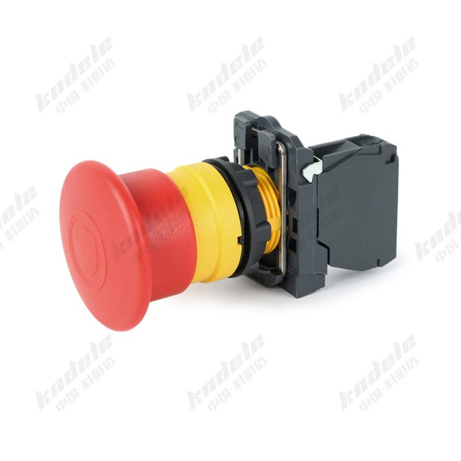 Types of electrical push button switches