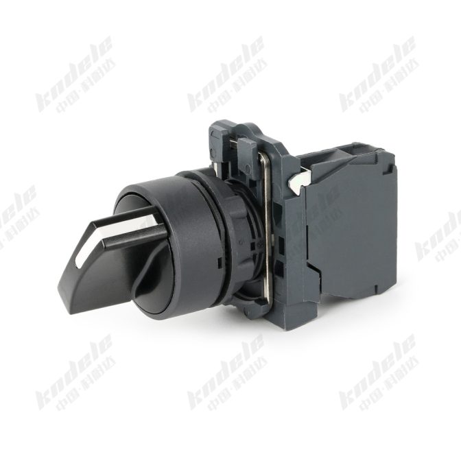 Two position push button switch