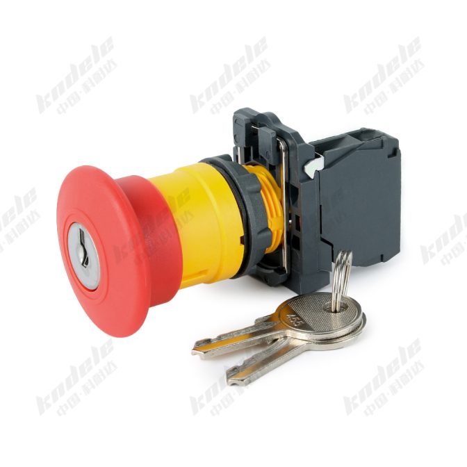 Emergency key switch