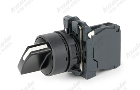What Is a Two Position Push Button Switch? Definition, Types, and Working Principle